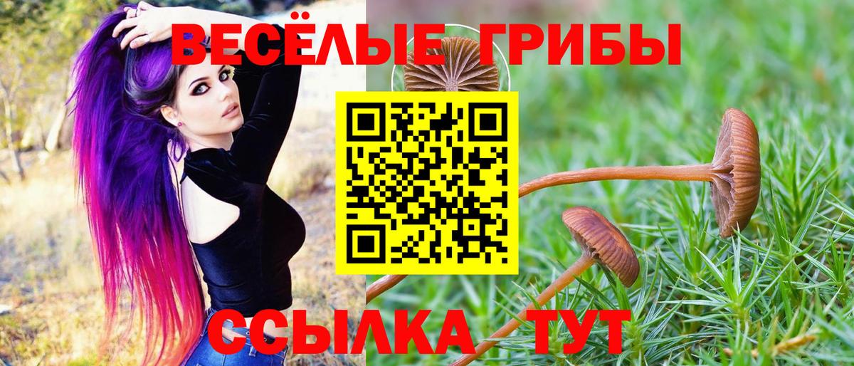 Псилоцибиновые грибы ЛСД  Вход с VPN  Среднеуральск 