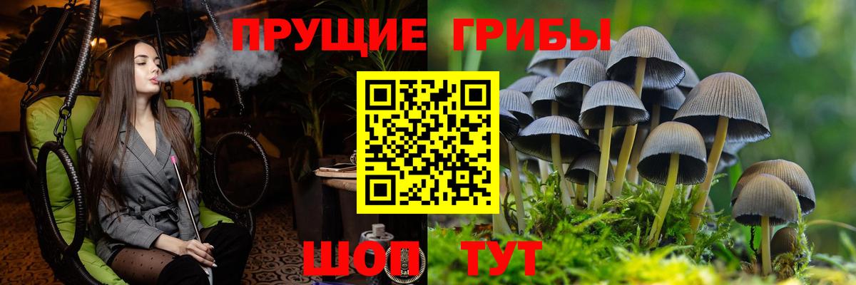 Галлюциногенные грибы GOLDEN TEACHER Среднеуральск